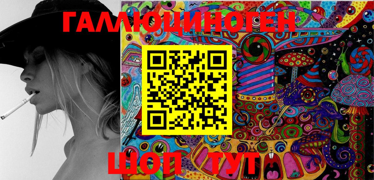Псилоцибиновые грибы Cubensis Иваново